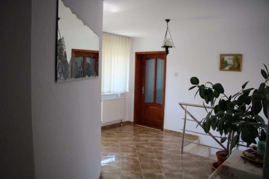 Casa Leny Tohanu Nou Exterior foto